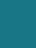 #187686 color image
