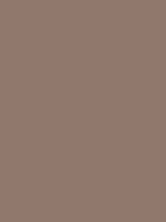 #91786b color image