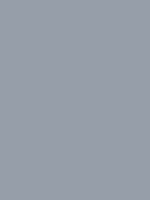 #969ea9 color image