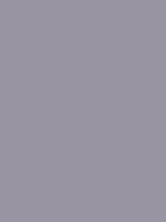 #9894a2 color image
