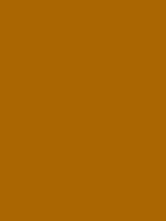#aa6602 color image