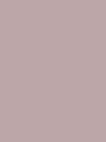#bda6a8 color image