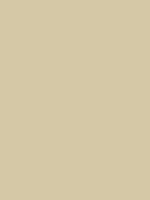 #d5c8a6 color image