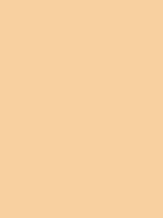 #f8d0a0 color image