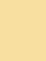 #f8dfa0 color image